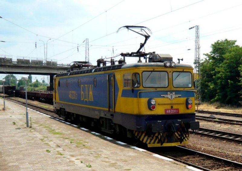 46231